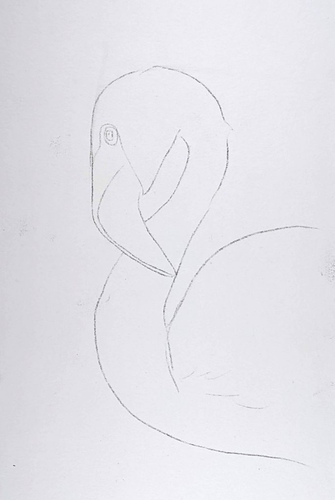 Flamingo Outline